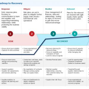 Covid19 Roadmap to Recovery